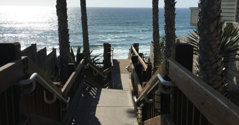 Profile - October 24, 2025 - Visit Encinitas CA 1459711902778 768x403