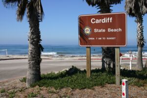 3bbc8c01f5a60d8bbcb1dde081defd9c 300x200