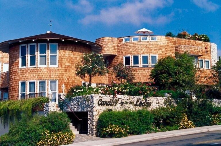 Profile - October 28, 2025 - Visit Encinitas CA 571640 o 768x509