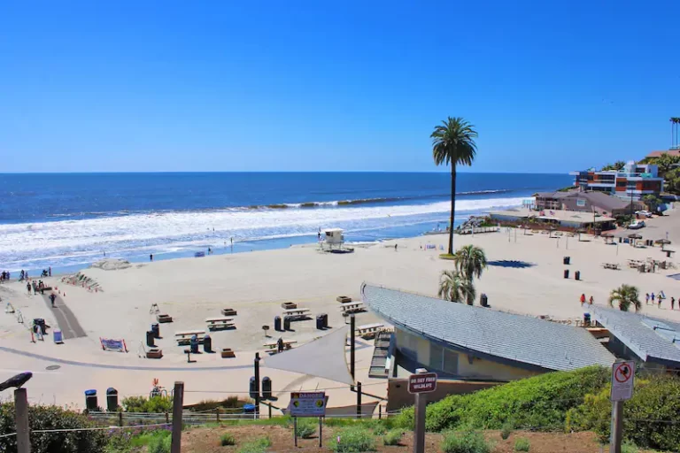 Profile - October 24, 2025 - Visit Encinitas CA 9d839a15 461a 4a41 a630 c8a56775f286 768x512