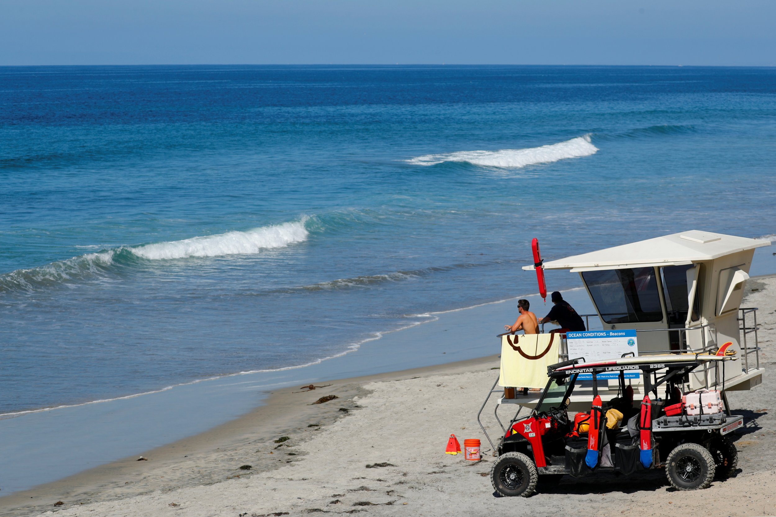 encinitas shark attack
