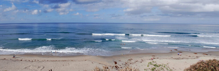 san elijo pan 768x252