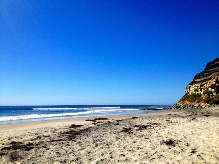 Profile - October 24, 2025 - Visit Encinitas CA swami s beach 768x576