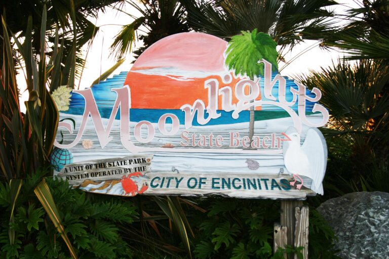 EVC Moonlight Beach sign Renewww 768x512