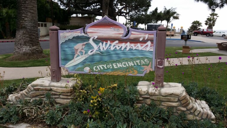 EVC Swamis sign Renewww 768x432