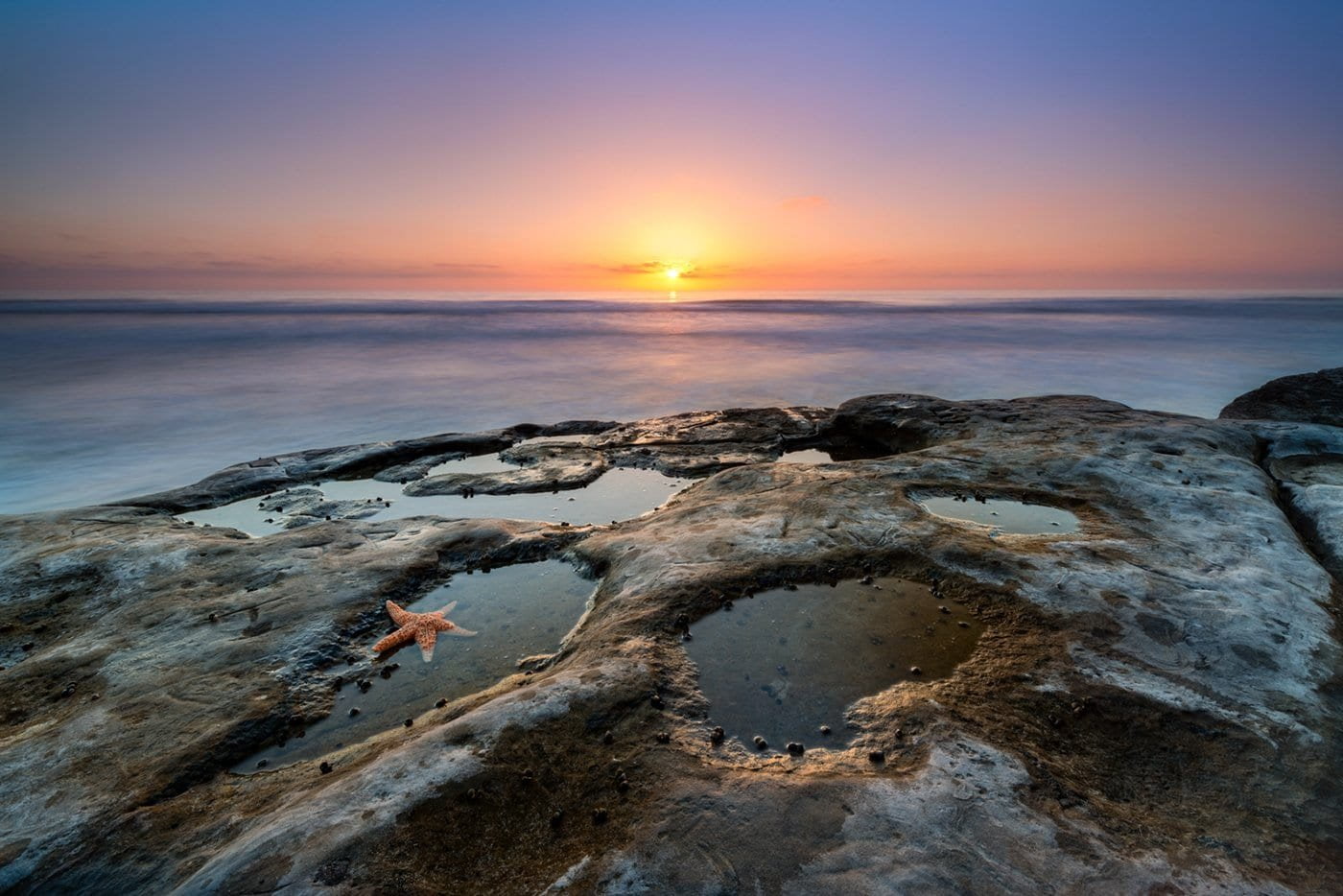 Encinitas Visitor Center - Top 5 Toddler Photo
