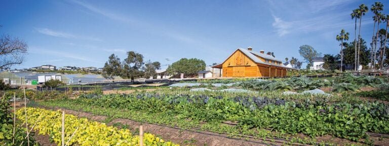 Profile - October 24, 2025 - Visit Encinitas CA EVC Coastal Roots Farm Renewww 2024 768x288