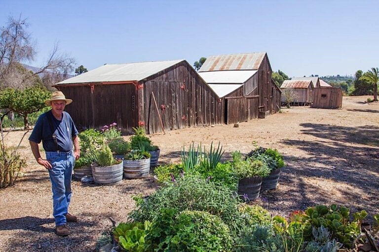 Bumann Ranch 01 768x512