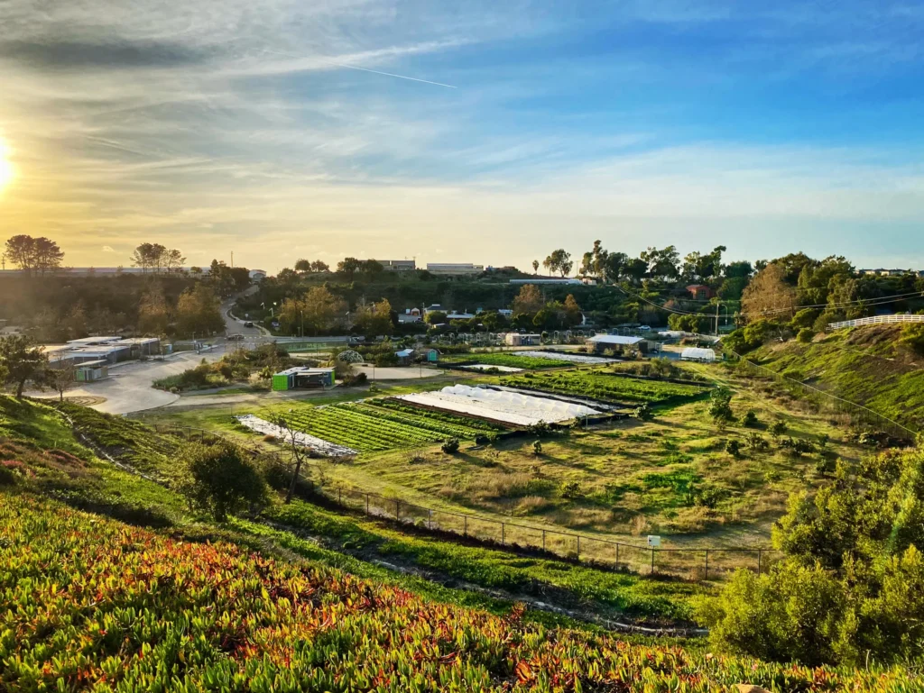 EVC Encinitas Ranch Trail Renewww 2024 - Visit Encinitas CA - Discover the Coastal Charm of Encinitas