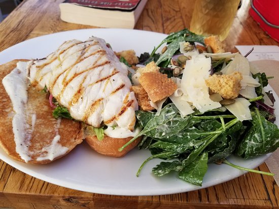 EVC Fish 101 Leucadia 3 Renewww 2024