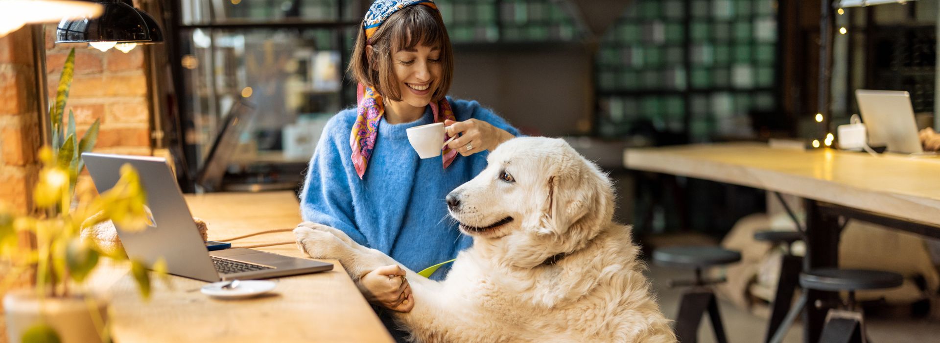 PetFriendly activities in Encinitas Visit Encinitas fun for you