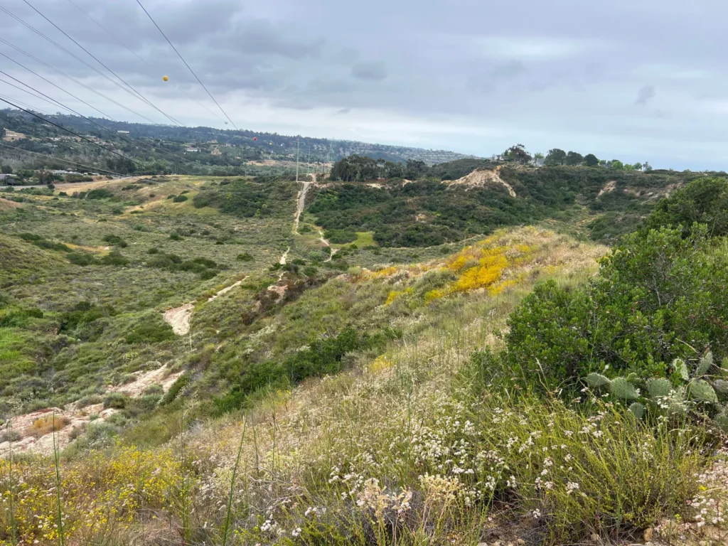 EVC Sage Trail Renewww 2024 - Visit Encinitas CA - Discover the Coastal Charm of Encinitas