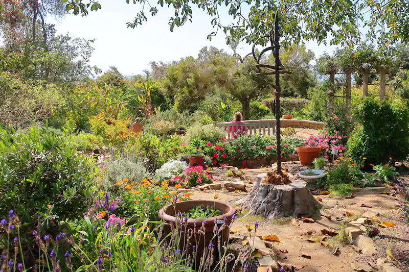 EVC San Diego Botanical Garden Renewww 2024 - Visit Encinitas CA - Discover the Coastal Charm of Encinitas