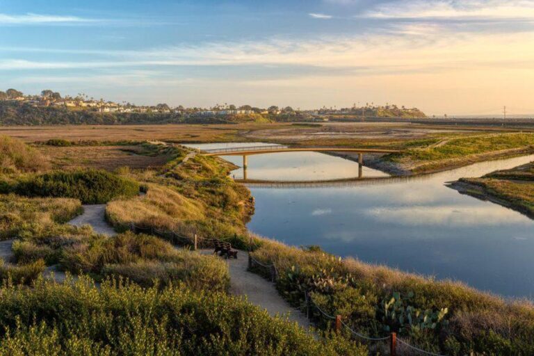 Profile - October 24, 2025 - Visit Encinitas CA EVC San Elijo Lagoon Renewww 2024 768x512