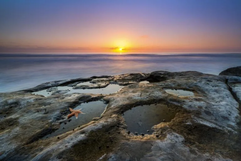 Visit Encinitas Cardiff Tide Pools Renewww 2024 768x513