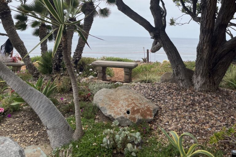 Encinitas Ranks Number 10 Among America’s Most Zen Cities!!! - October 22, 2025 - Visit Encinitas CA ENCINITAS RANKS 10 AMONG AMERICAS MOST ZEN CITIES 1 768x511