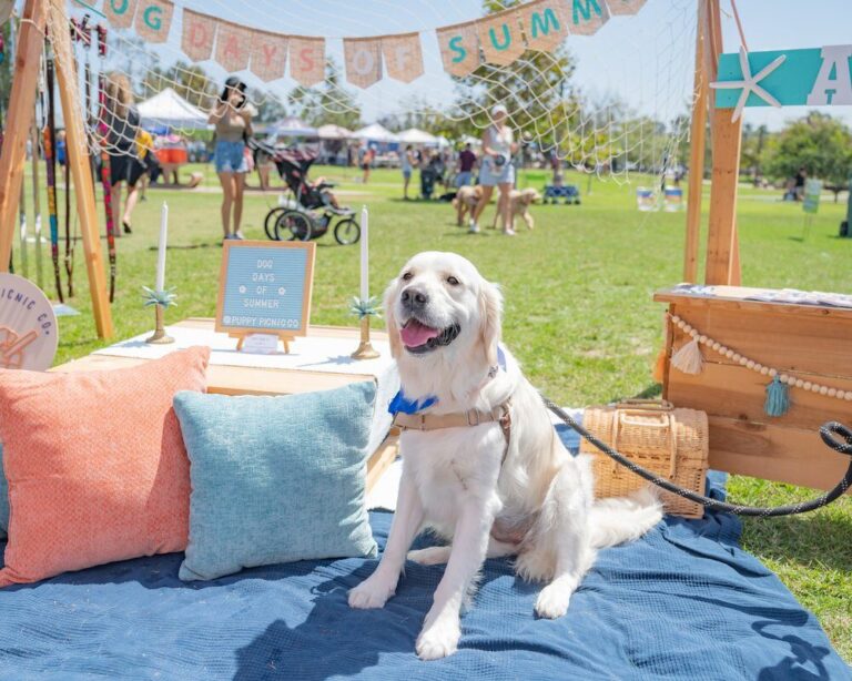 August in Encinitas: Summer in Full Swing - July 31, 2025 - Visit Encinitas CA Dog Days of Summer - Visit Encinitas CA - Discover the Coastal Charm of Encinitas