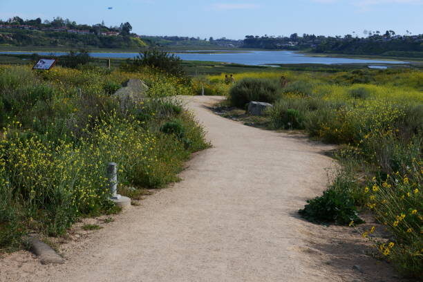 Labor Day in Encinitas: Local's Guide - September 8, 2025 - Visit Encinitas CA San Elijo Lagoon Trails - Visit Encinitas CA - Discover the Coastal Charm of Encinitas